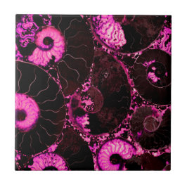 Nautilus rosa Muschel Fliese