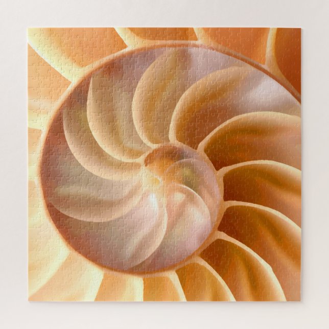 Nautilus Seashell Natur Themenrätsel für Erwachsen (Vertikal)