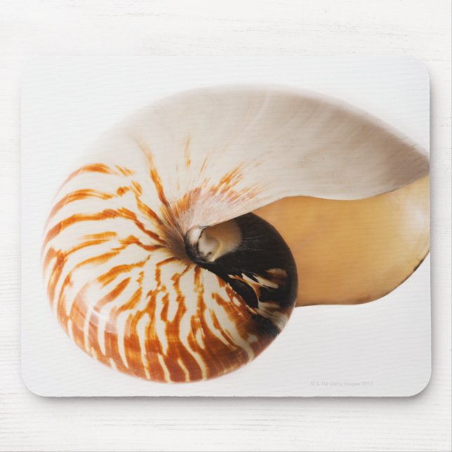 Nautilus seashell (Nautilus stenomphalus) Mousepad (Vorne)