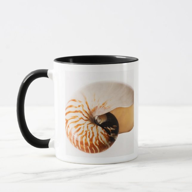 Nautilus Seashell (Nautilus stenomphalus) Tasse (Links)