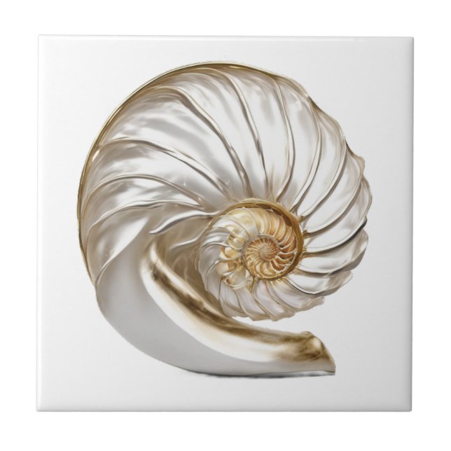 Nautilus seashell pearl 3D Strand nautische Fliese (Vorderseite)
