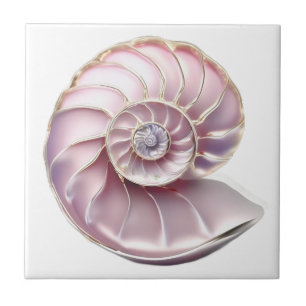Nautilus seashell rosa 3D Strand Meer nautisch Fliese