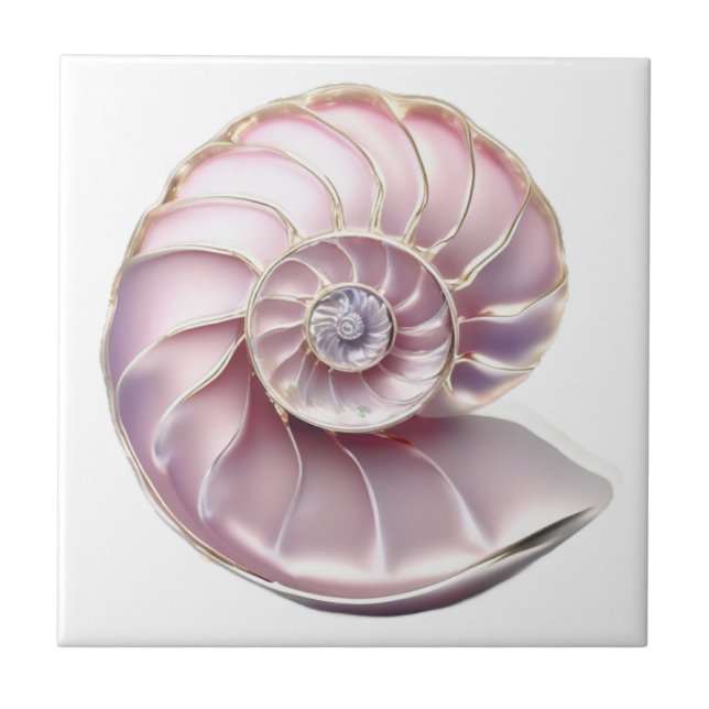 Nautilus seashell rosa 3D Strand Meer nautisch Fliese (Vorderseite)