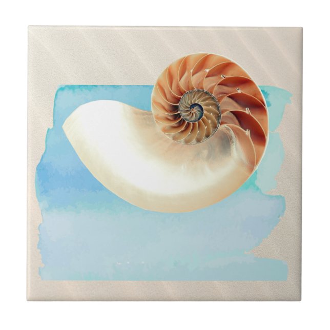 Nautilus Seashell und Sand Fliese (Vorderseite)