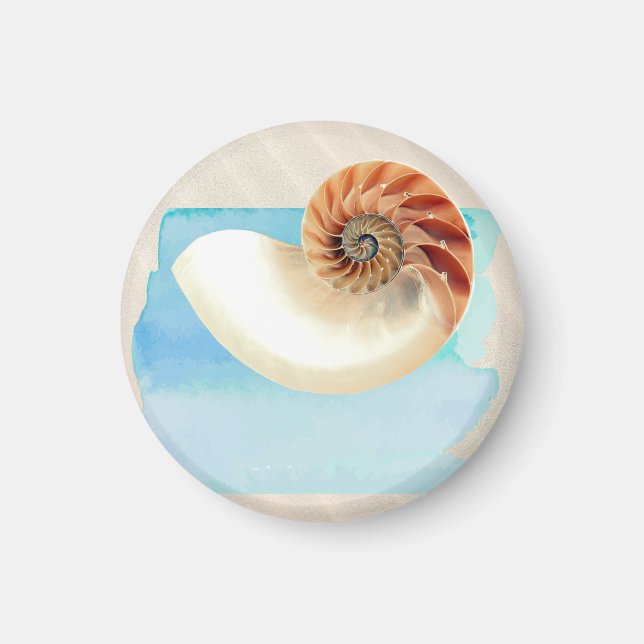 Nautilus Seashell und Sand Magnet (Vorne)