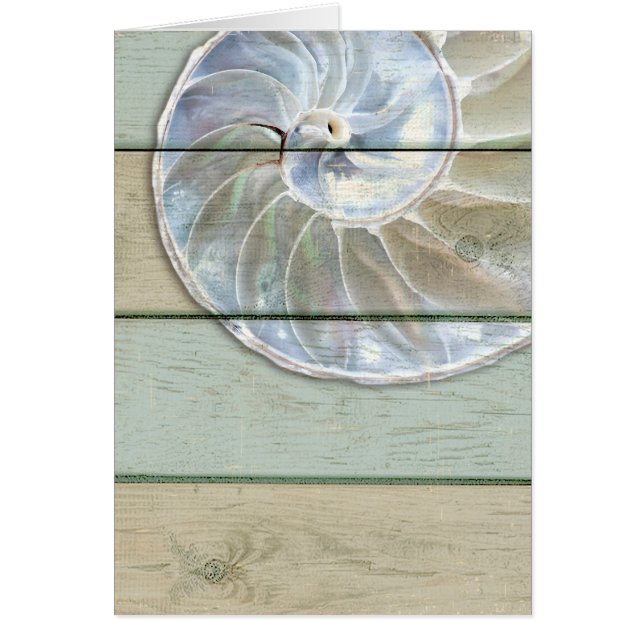 Nautilus Shell (Devant)