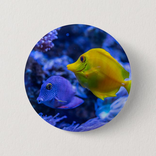 Nautische Fotos Meerestierfotografie Fische Pic Button (Vorderseite)