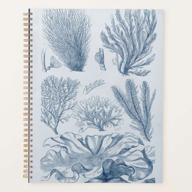 Nautische Meereswelt Planer (Vorderseite)