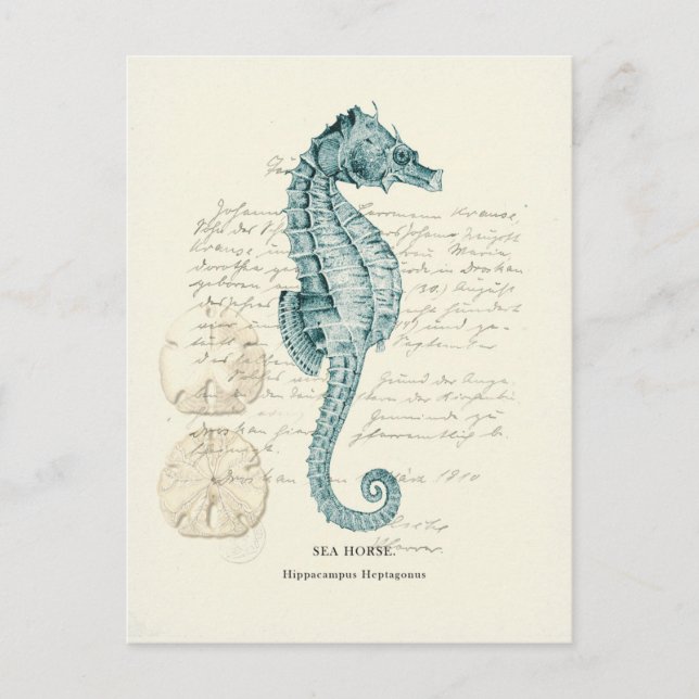 Nautische Mile Postkarte (Vorderseite)