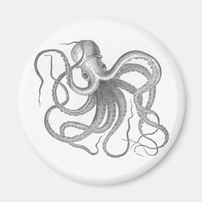 Nautische Steampunk-Oktopus-Vintage Konstruktion Magnet (Vorne)