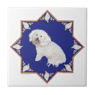 Nautischer Bichon Frise Fliese