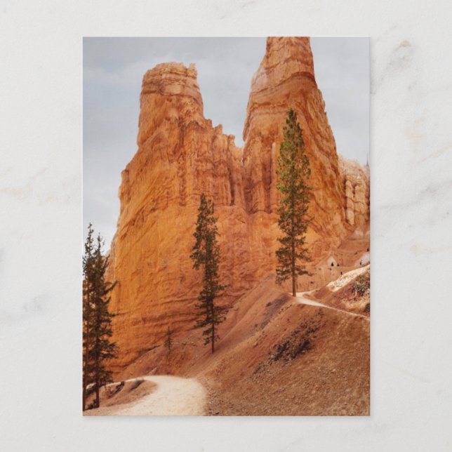 Navajo Loop Trail, Bryce Canyon Postkarte (Vorderseite)