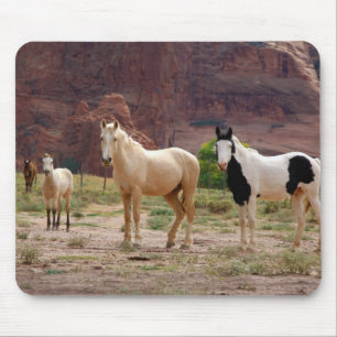Navajo-Pferde laufen frei auf dem Canyonboden Mousepad