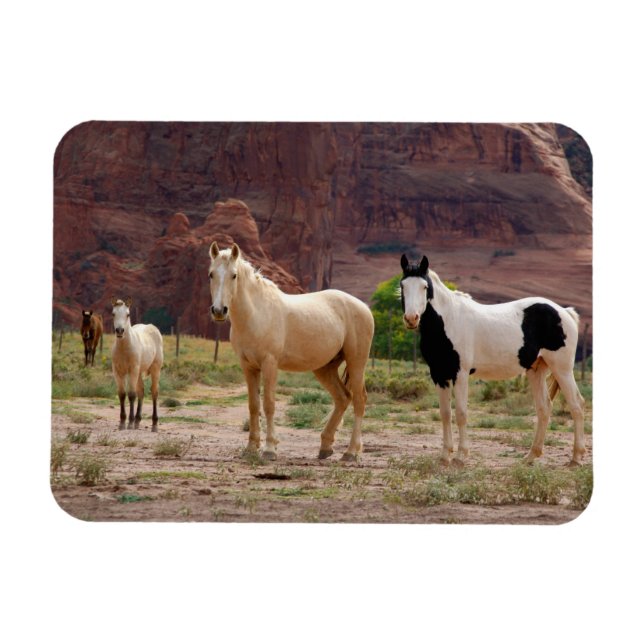 Navajo Pferde laufen kostenlos auf dem Canyon Floo Magnet (Horizontal)