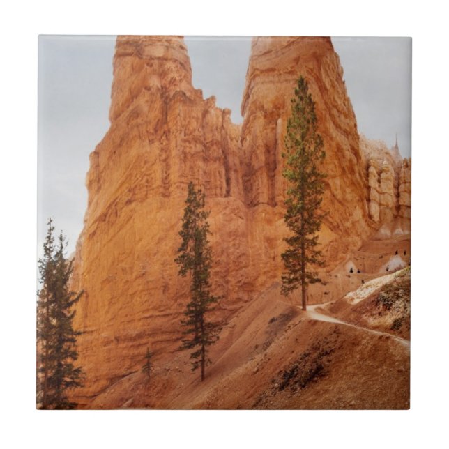 Navajo-Schleifen-Spur, Bryce Schlucht Fliese (Vorderseite)