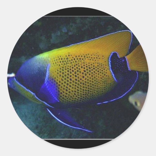 Navarchus Runder Aufkleber (Vorderseite)