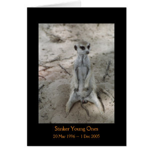 Navet - carte de légendes