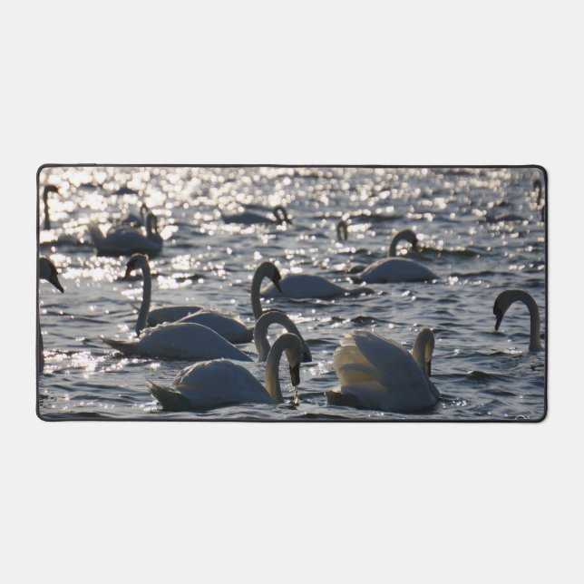 Navires en groupe sur l'eau avec glissement (Recto)