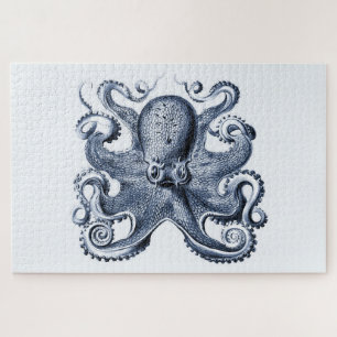Navy Blue Octopus Illustration von Ernst Haeckel