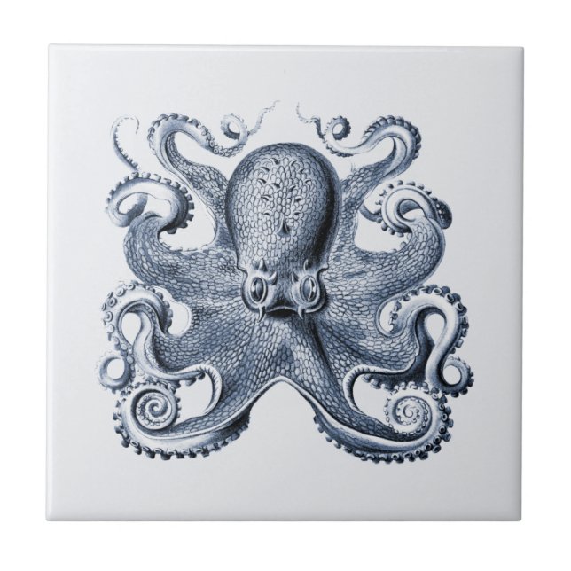 Navy Blue Octopus Illustration von Ernst Haeckel Fliese (Vorderseite)