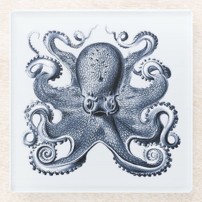 Navy Blue Octopus Illustration von Ernst Haeckel Glasuntersetzer (Vorderseite)