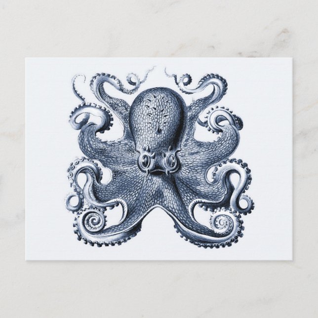 Navy Blue Octopus Illustration von Ernst Haeckel Postkarte (Vorderseite)