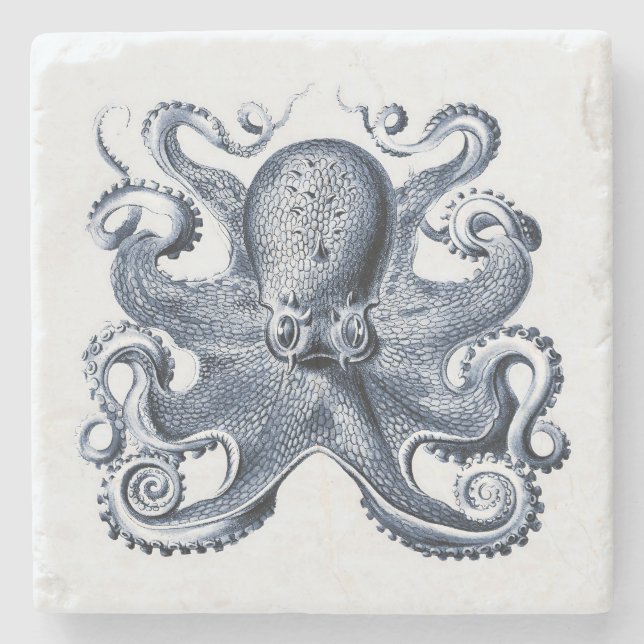 Navy Blue Octopus Illustration von Ernst Haeckel Steinuntersetzer (Vorderseite)