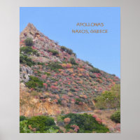 Naxos, Griechenland/ farbenfrohe Vegetation am Ber