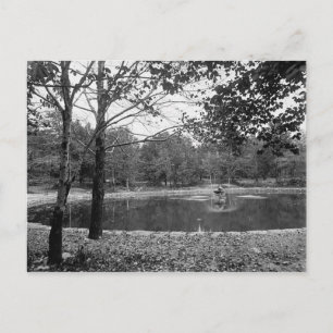 Nay Aug Park Scranton Pa. Carte postale