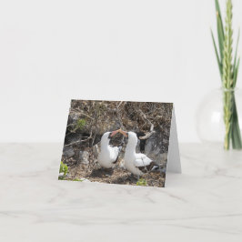 Nazca-Vogel-Freundschafts-Grußkarte Karte