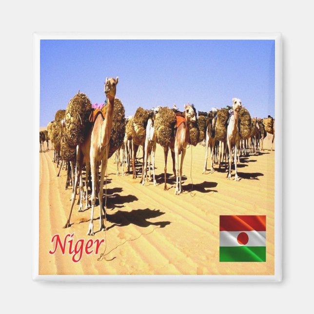 NE007 NIGER, Oasis Bilma, Afrika, Kühlschrank Magnet (Vorne)