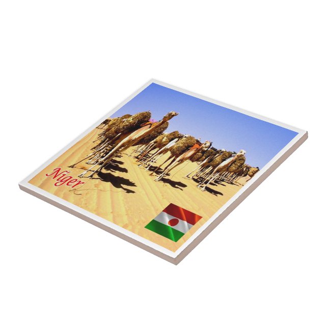 NE007 NIGER, Oasis Bilma, Fliese (Seite)