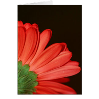 Ne me tourne pas le dos