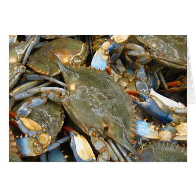 Ne me tracassez pas… que je suis désagréable ! (Devant horizontal)