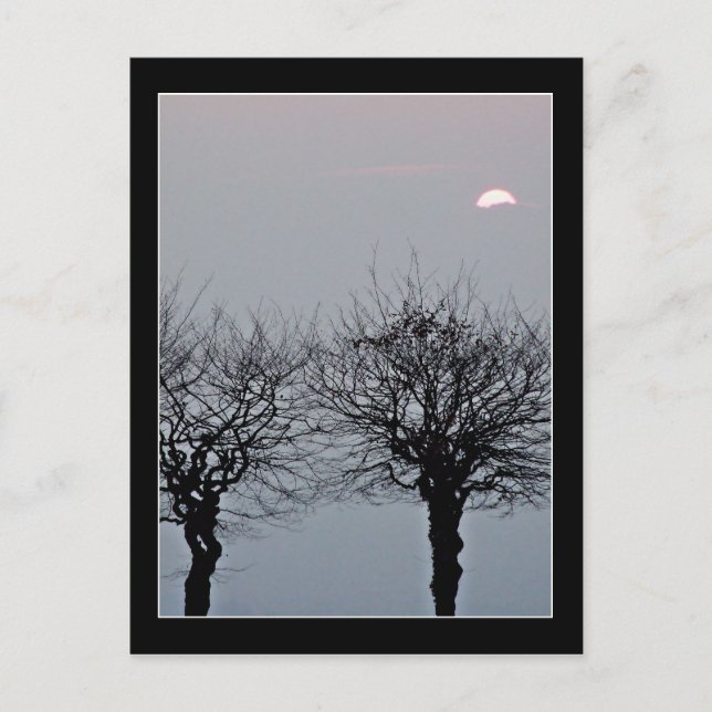 Ne pas aller carte postale (Devant)