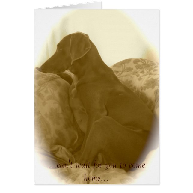 … ne peut pas vous attendre pour venir à la (Devant)