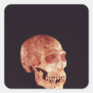 Neanderthal-Schädel, entdeckt auf Mt Carmel Quadratischer Aufkleber