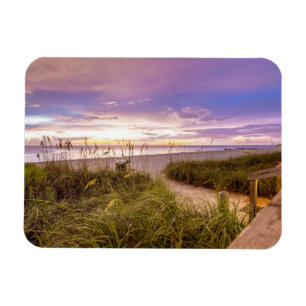 Neapel Beach Shore and Calm Ocean   Florida Magnet