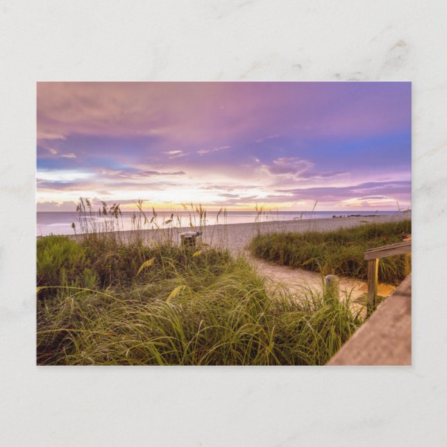 Neapel Beach Shore and Calm Ocean | Florida Postkarte (Vorderseite)