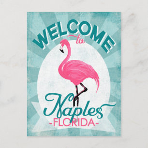 Neapel Florida Rosa Flamingo - Vintage Retro Reise Postkarte