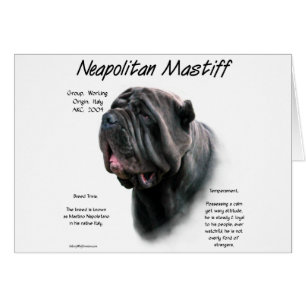 Neapolitan Mastiff (blk) Geschichtsdesign