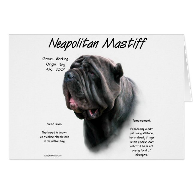 Neapolitan Mastiff (blk) Geschichtsdesign (Vorderseite (Horizontal))