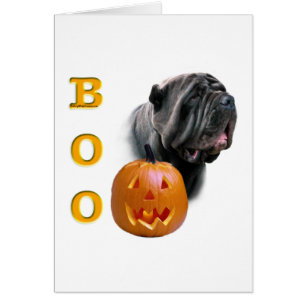 Neapolitan Mastiff Boo