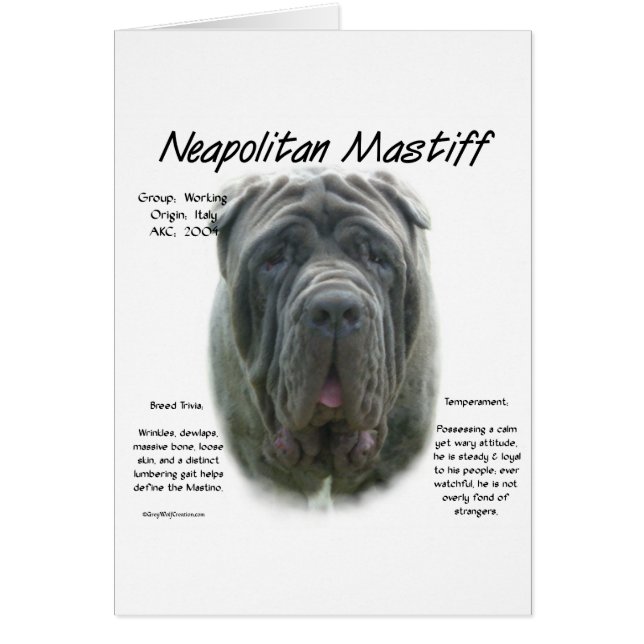 Neapolitan Mastiff (grau) Geschichtsdesign (Vorne)