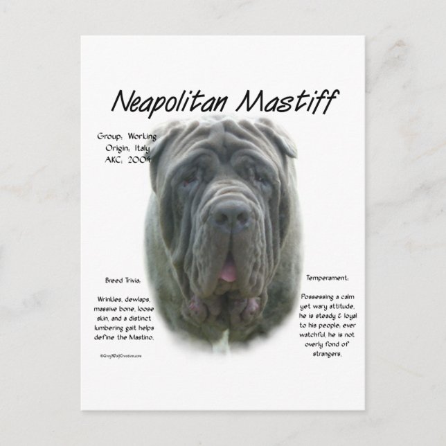 Neapolitan Mastiff (grau) Geschichtsdesign Postkarte (Vorderseite)