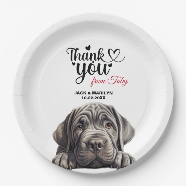 Neapolitan Mastiff Pappteller (Vorderseite)