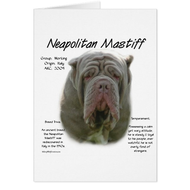 Neapolitan Mastiff (Tawny) Historisches Design (Vorne)