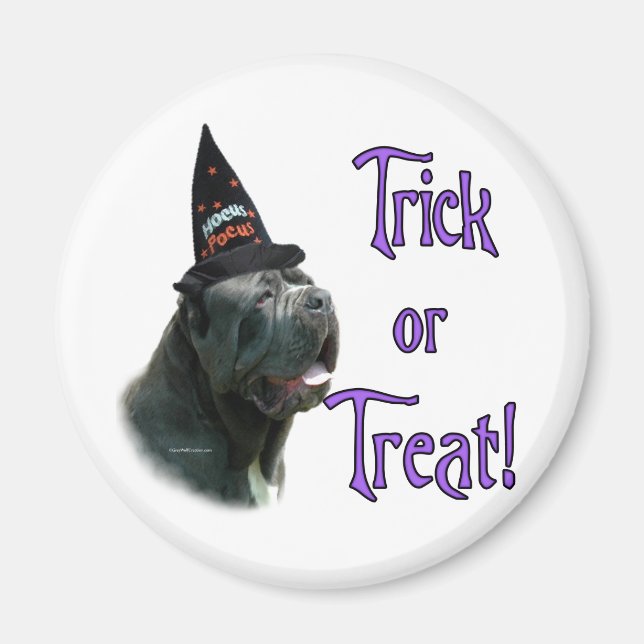 Neapolitan Mastiff Trick Magnet (Vorne)
