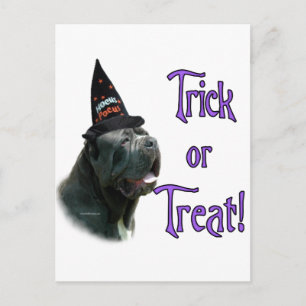 Neapolitan Mastiff Trick Postkarte