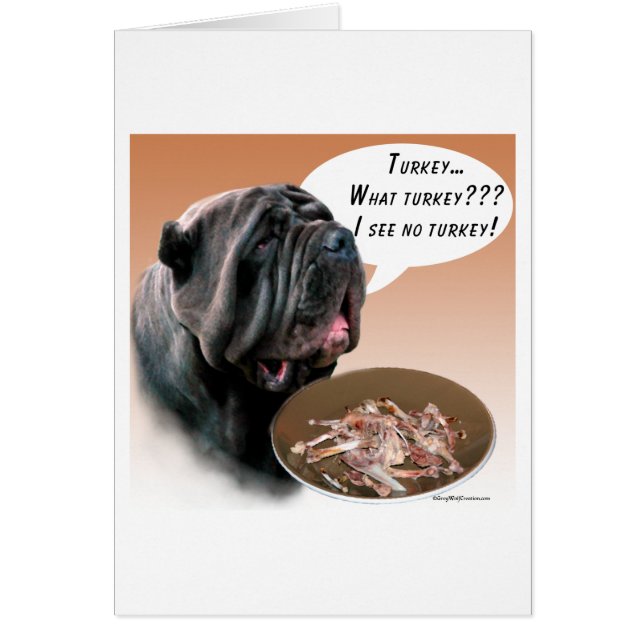 Neapolitan Mastiff Türkei (Vorne)